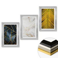 WANDBILDER 3er Set - 20x30 cm Silberner Rahmen - Geometrische Muster und Vegetation - Silberfarben, Kunststoff (20/30cm) - ArtPrintCave