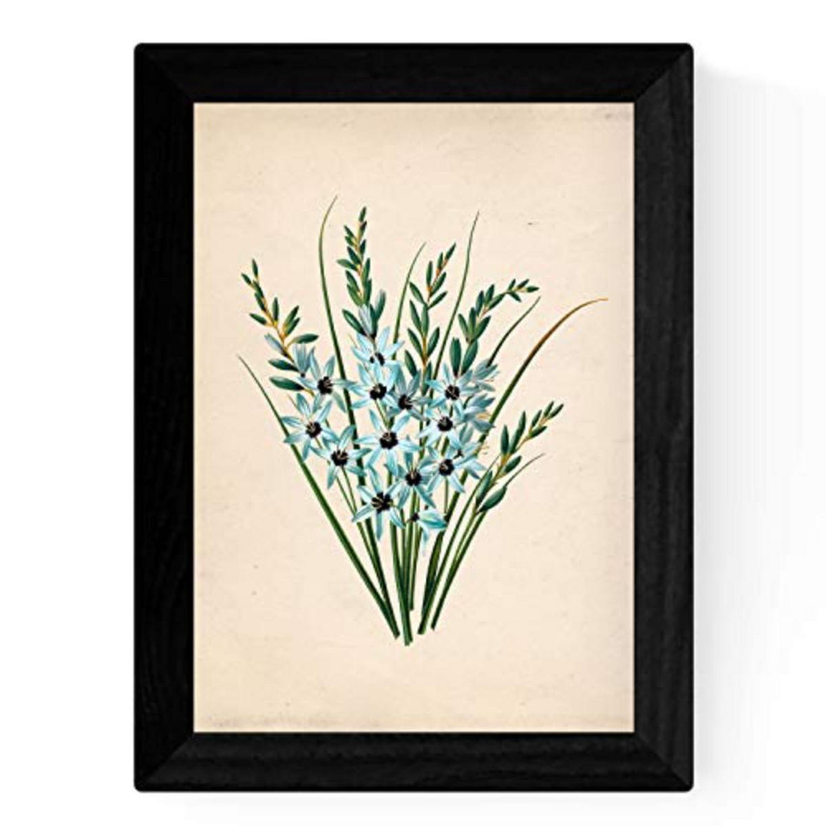 POSTER Set mit 4 Botanischen Stils Sensitive A3 Rahmenlos - Klar, Papier (29.7/3cm) - Nacnic