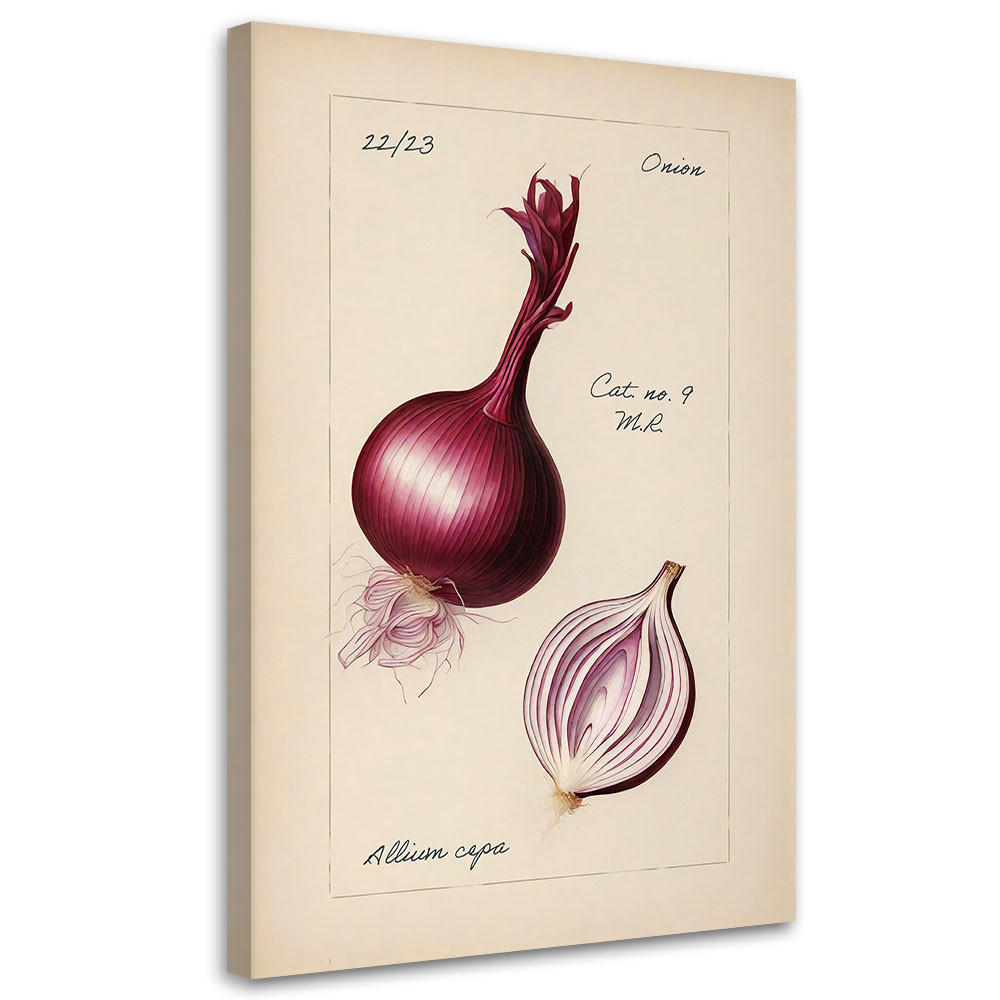 WANDBILD weinlese gemüse zwiebeln - Beige, Textil (40/60cm) - Feeby