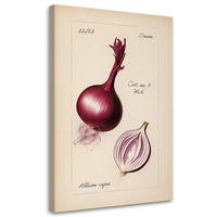WANDBILD weinlese gemüse zwiebeln - Beige, Textil (40/60cm) - Feeby