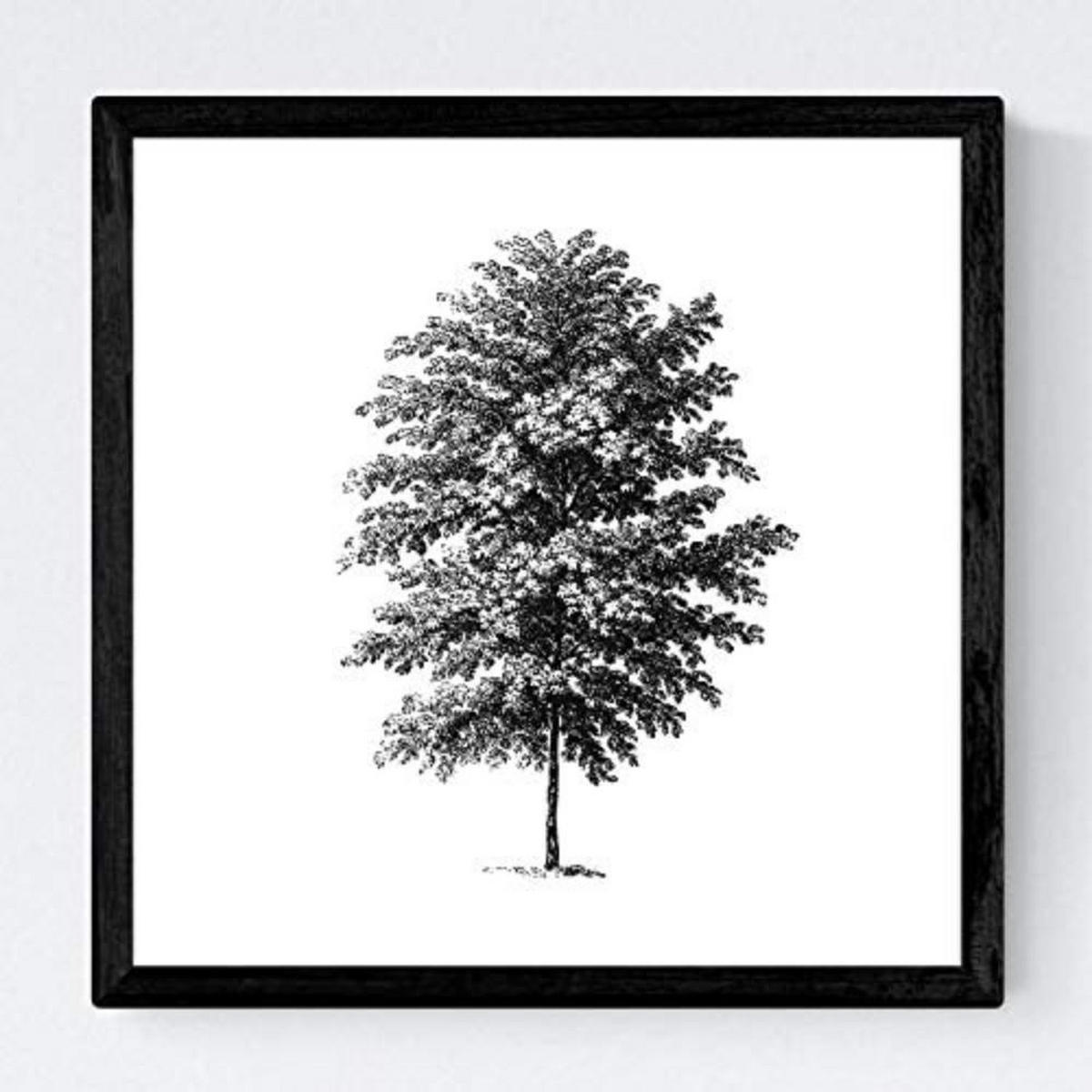 POSTER Set mit 4 Blättern der Baumstamm fein Jahrgang Hintergrund 20x20cm Schwarzer Rahmen - Schwarz, Papier (20/3cm) - Nacnic