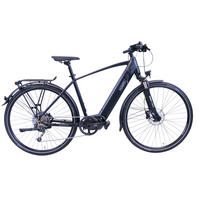E-CITY Wave E-Bike Integrated Steps Gent 9 Gang 28 Zoll Gr:50cm - Schwarz, Metall (50cm) - Hawk Bikes