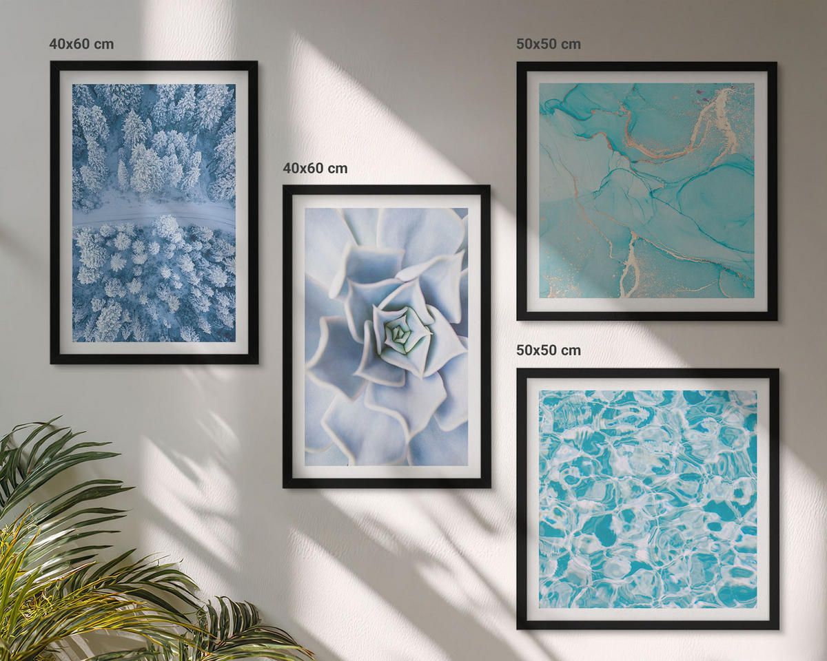WANDBILDER 4er-Set - 50x50 cm & 40x60 cm Schwarzer Rahmen - Winterwald-Blaublume - Schwarz, Kunststoff (50/50cm) - ArtPrintCave