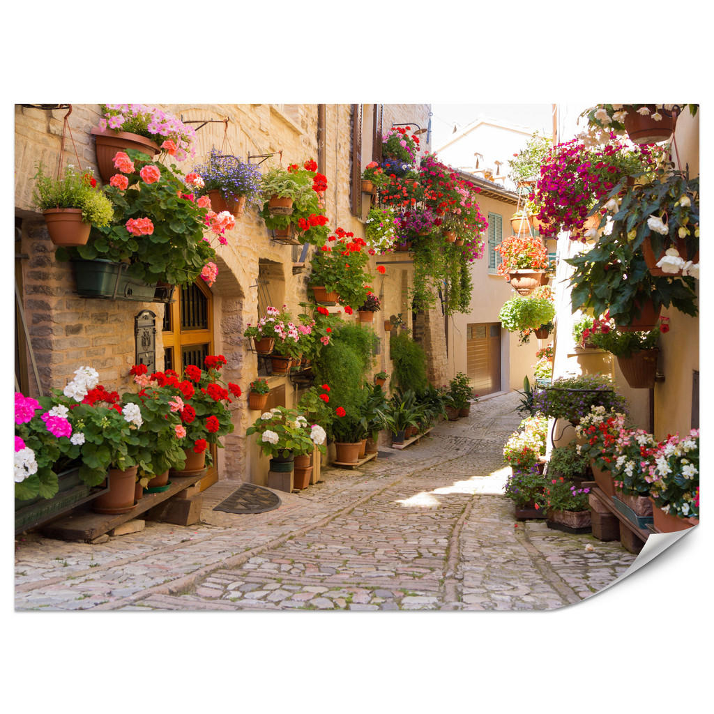 Muralo FOTOTAPETA do Obývacího Pokoje Italská Kamenná Ulice Květiny Rostliny 500x350