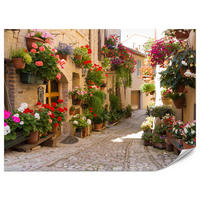 FOTOTAPETE für Wohnzimmer Italienische Steinstraße Blumen Pflanzen 150x105 - Beige/Rot, Papier (150/105cm) - Muralo