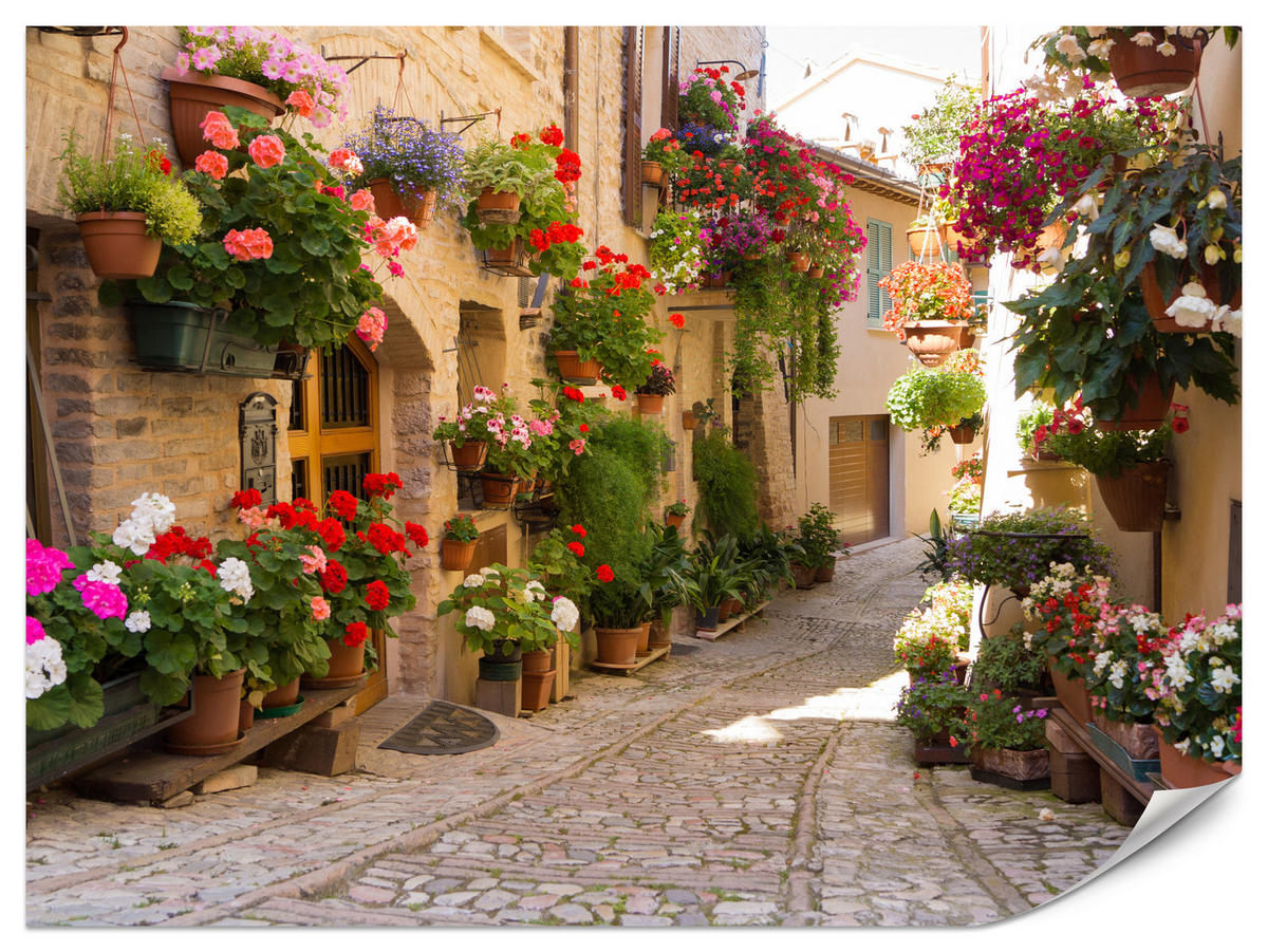 FOTOTAPETE für Wohnzimmer Italienische Steinstraße Blumen Pflanzen 150x105 - Beige/Rot, Papier (150/105cm) - Muralo