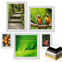 WANDBILDER 5er-Set - 50x50 cm & 20x30 cm & 40x60 cm Weißer Rahmen - Fruchtige Akzente der Tropen - Weiß, Kunststoff (40/60cm) - ArtPrintCave