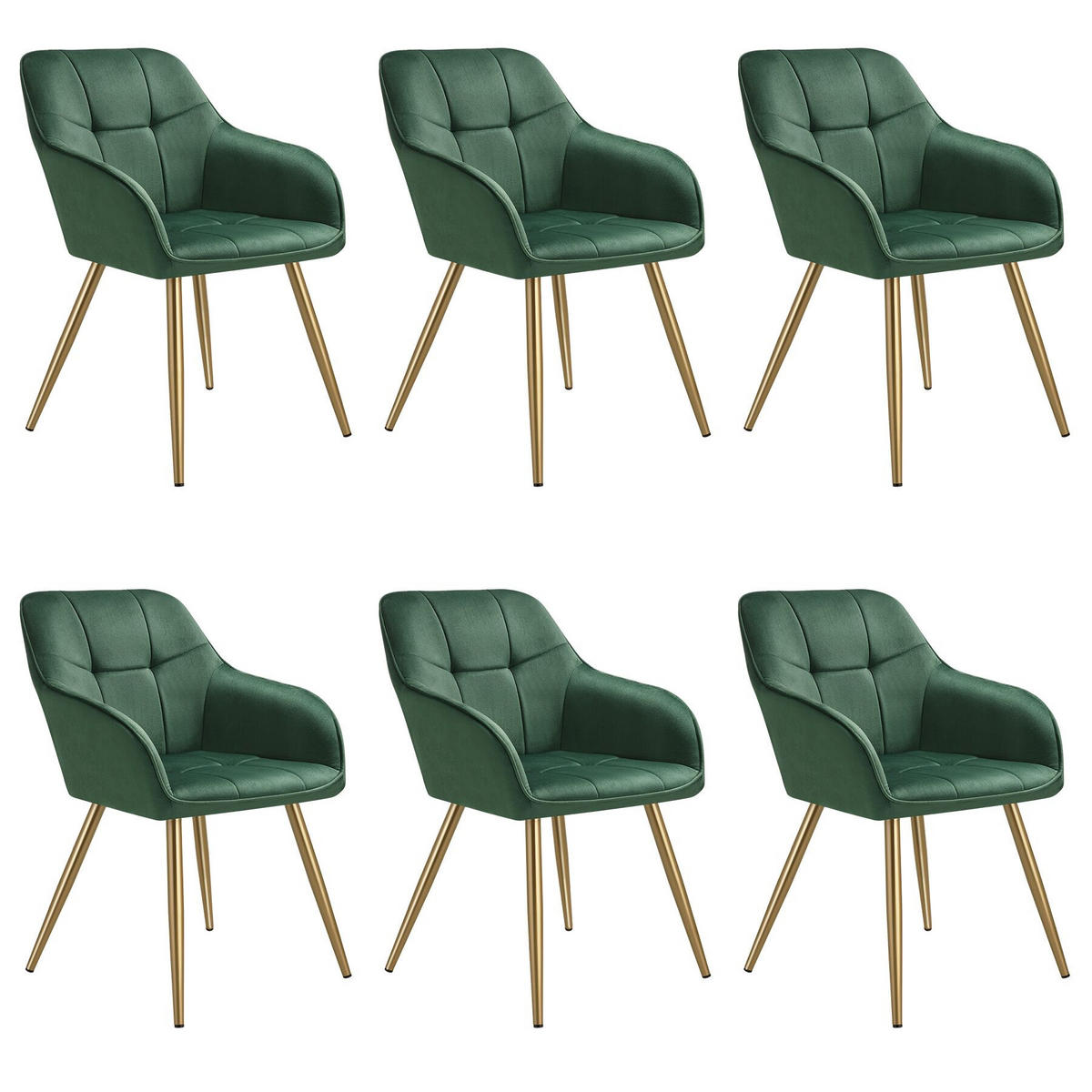 ESSZIMMERSTUHL 6er Set Marilyn 58 x 62 x 82 cm dunkelgrün/gold - Dunkelgrün/Goldfarben, Kunststoff (58/82/62cm) - tectake