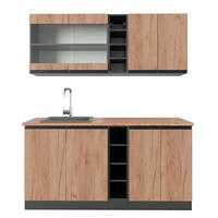 JEDNOTKOVÁ KUCHYNĚ R-Line Zlatý dub power/antracit - medově dubová, kompozitní dřevo (160/81.6/60cm) - Vicco