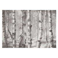 FOTOTAPETE 208x146 cm - Birkenwald - Schwarz, Textil (208/146cm) - Wallfluent