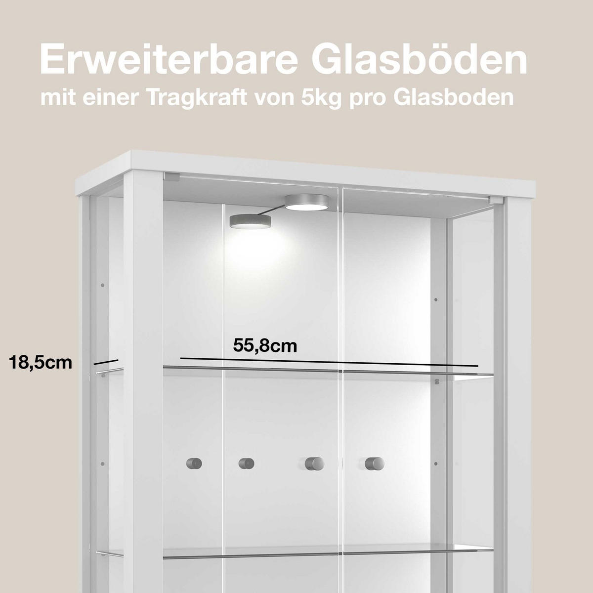 HÄNGEVITRINE 25/60/80 cm mit Spiegel, LED & 2 höhenverstellbaren Glasböden - Transparent/Silberfarben, Glas/Holzwerkstoff (60/80/25cm) - K-Möbel