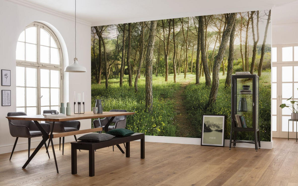 FOTOTAPETE Wald 450 x 280 cm - Grün, Papier (450/280cm) - Sanders & Sanders