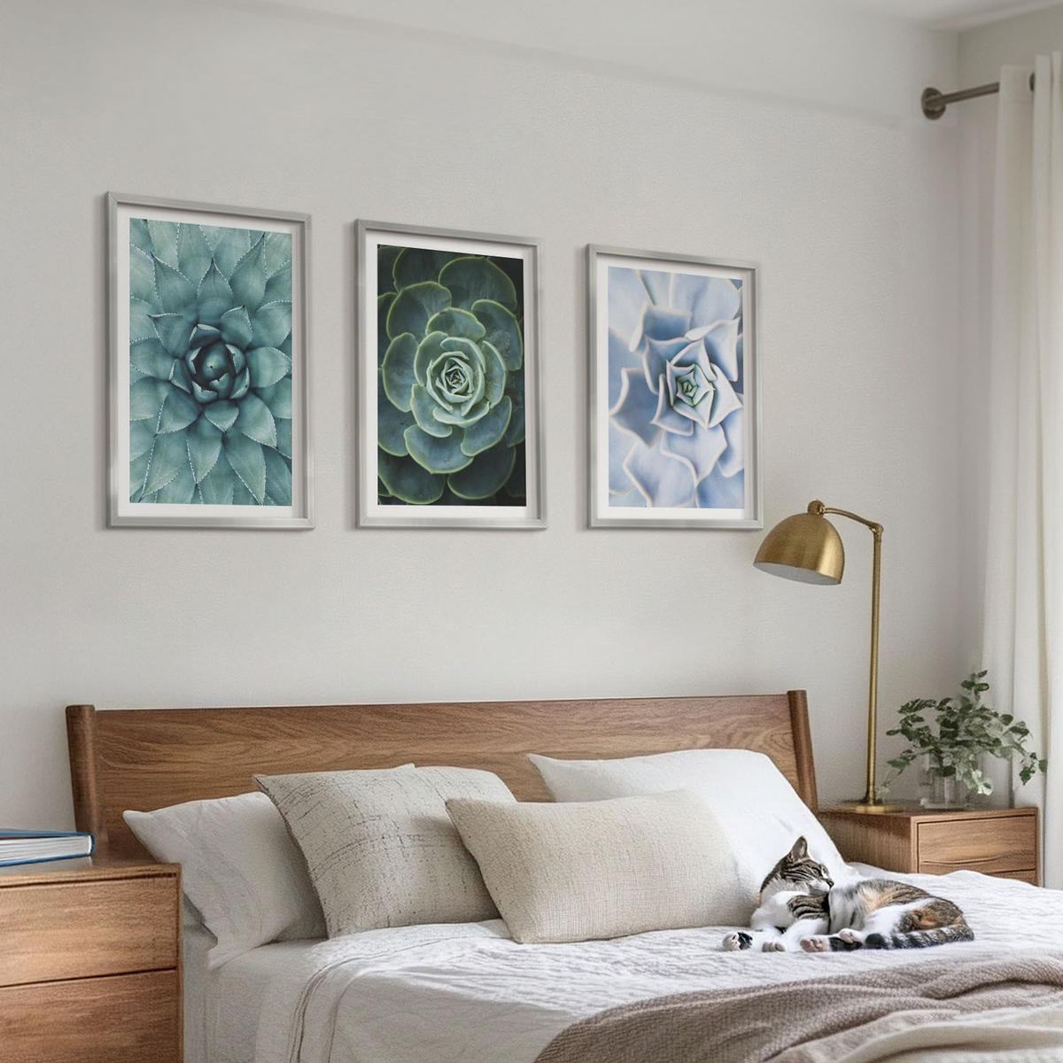BILDER SET 3er Set - 40x60 cm Silberner Rahmen - Sukkulente Pflanzen grün türkis - Silberfarben, Kunststoff (40/60cm) - TULUP