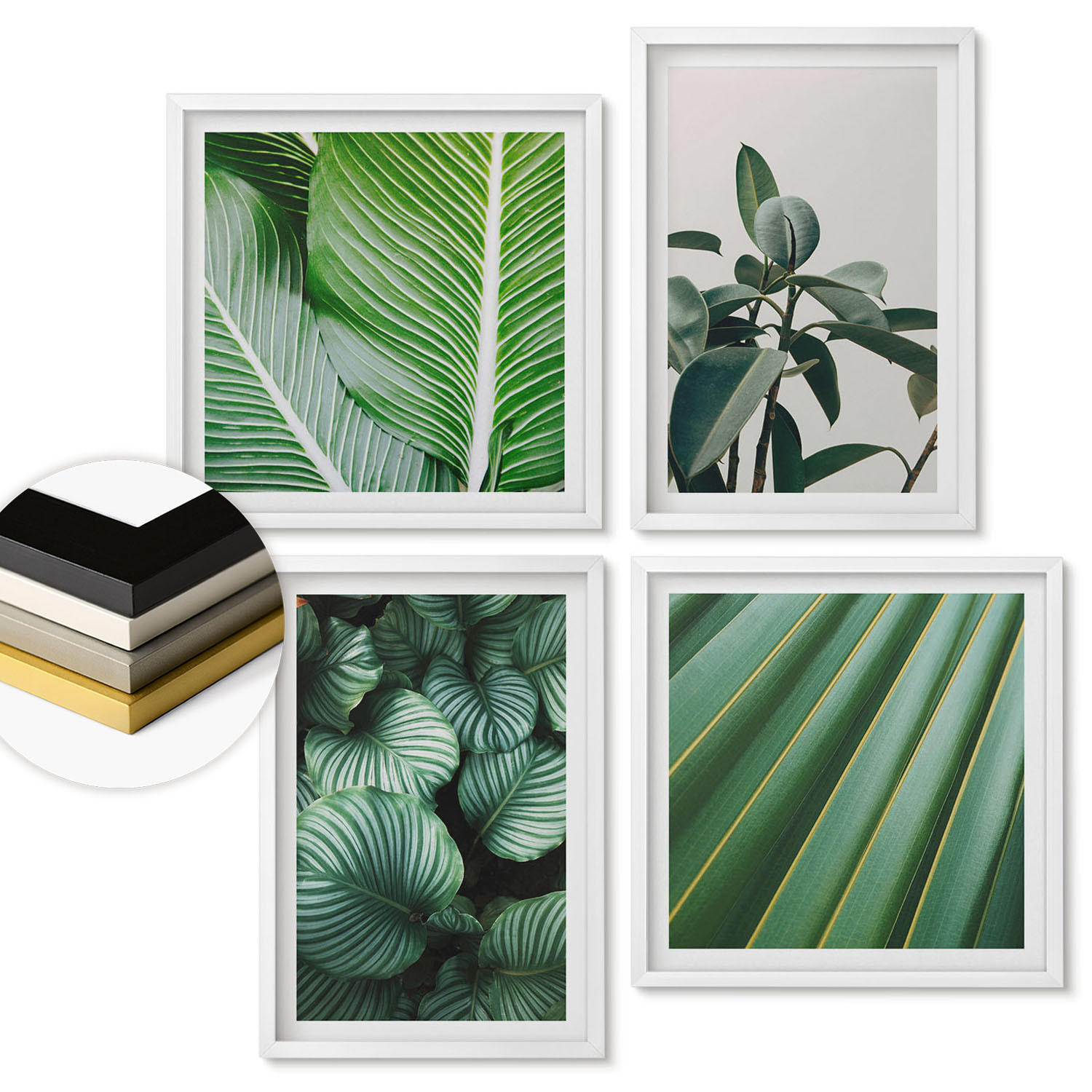 WANDBILDER 4er-Set - 50x50 cm & 40x60 cm Weißer Rahmen - Tropische Blätter in Grün - Weiß, Kunststoff (50/50cm) - ArtPrintCave