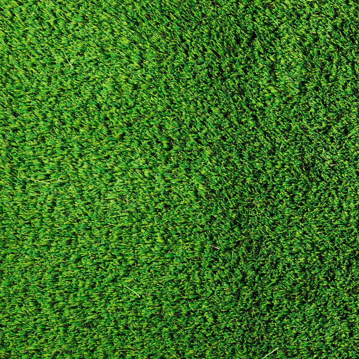 RASENTEPPICH Grün200/200 cm New Zealand - Grün, Kunststoff (200/700cm) - Steffensmeier