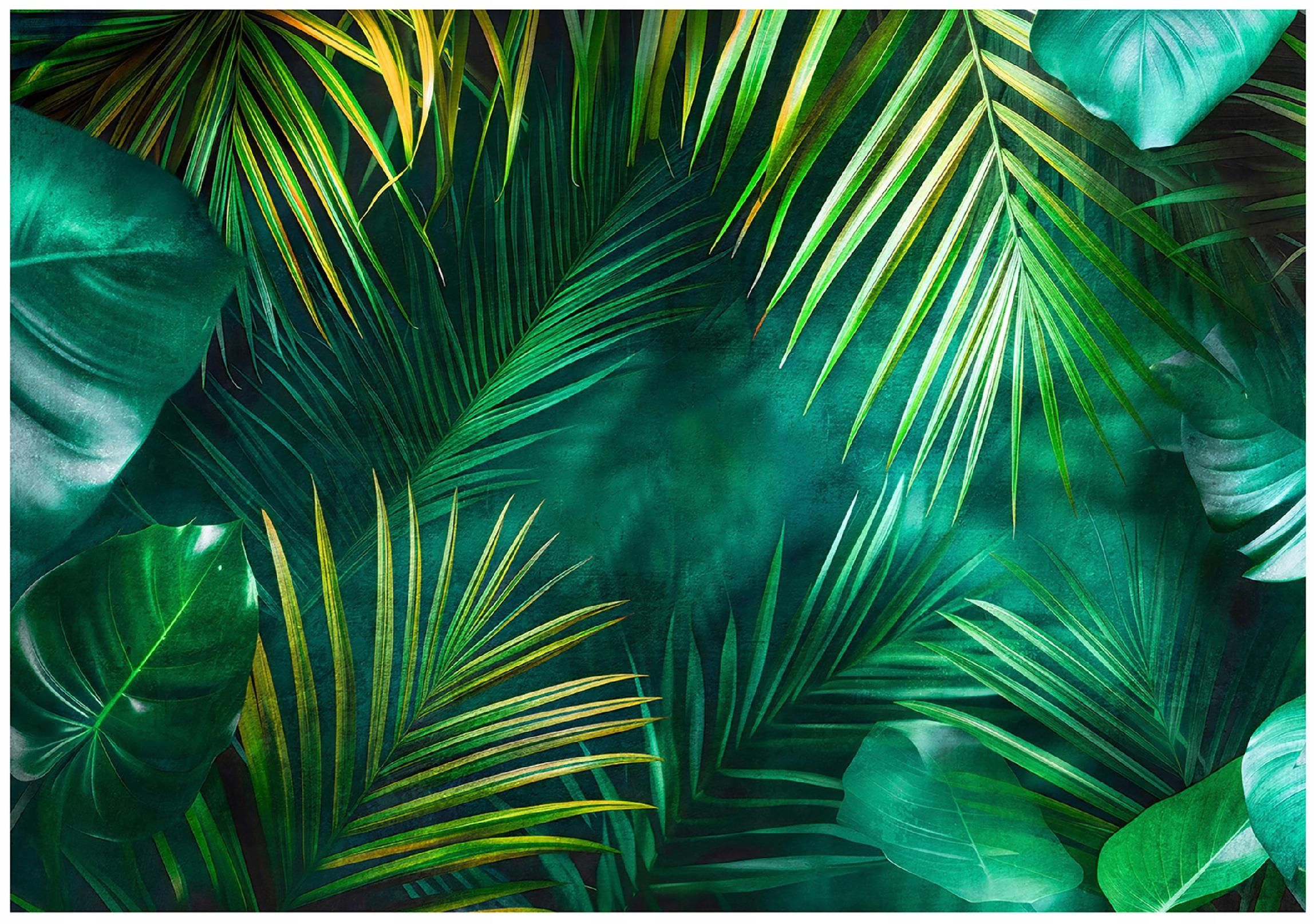 FOTOTAPETE Blätter Dschungel Grün 416x254 cm - Multicolor, Textil (416/254cm) - Wallarena