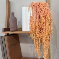 AMARANTHUS Stiele - apricot / 30 cm - Naturfarben, Naturmaterialien (30cm) - Lykke & You