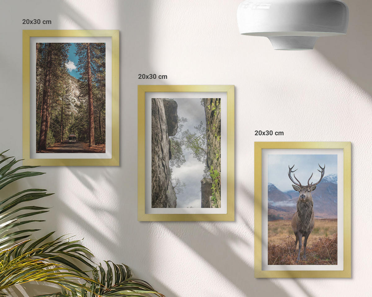 BILDER SET 3er Set - 20x30 cm Goldrahmen - Straße Wald Berge Hirsch Natur - Goldfarben, Kunststoff (20/30cm) - TULUP