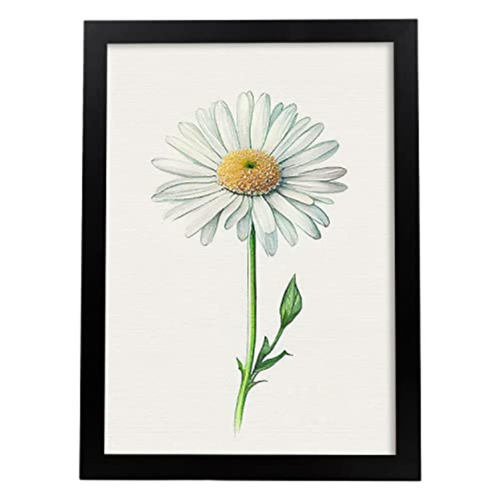 Nacnic Poster Klar 29.7x5x21 cm