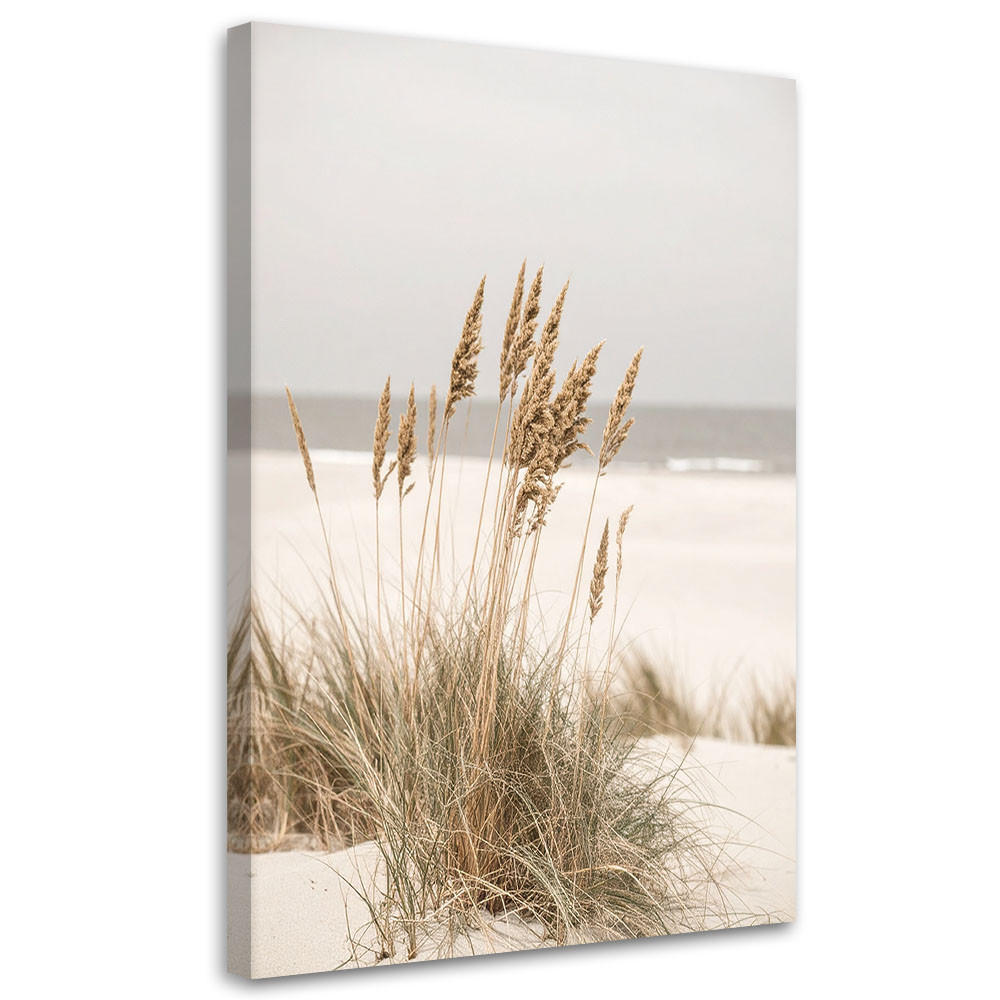 LEINWANDBILD Strand Meer Pflanzen Natur beige 70x100cm - Beige, Textil (70/100cm) - Feeby