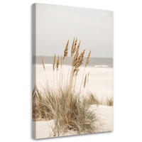 LEINWANDBILD Strand Meer Pflanzen Natur beige 70x100cm - Beige, Textil (70/100cm) - Feeby
