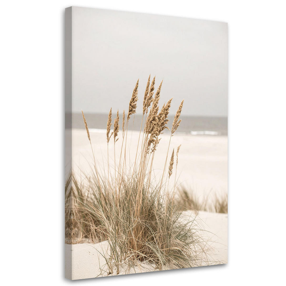 LEINWANDBILD Strand Meer Pflanzen Natur beige 70x100cm - Beige, Textil (70/100cm) - Feeby