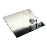 GLASPLATTE 60x52 cm Einsamer Baum - Grau, Glas (60/0.4/52cm) - TULUP