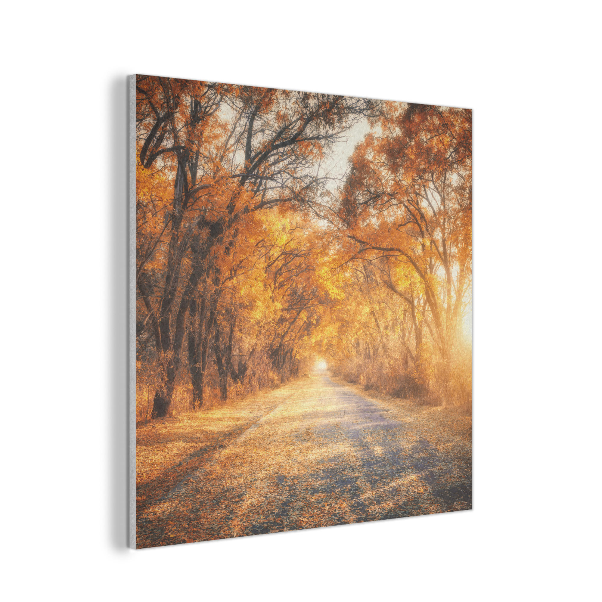 AKUSTIKPANEEL Wald - Herbst - Bäume - Waldweg - Natur 90x90 cm - Bernsteinfarben, Textil (90/0.9/90cm) - MuchoWow