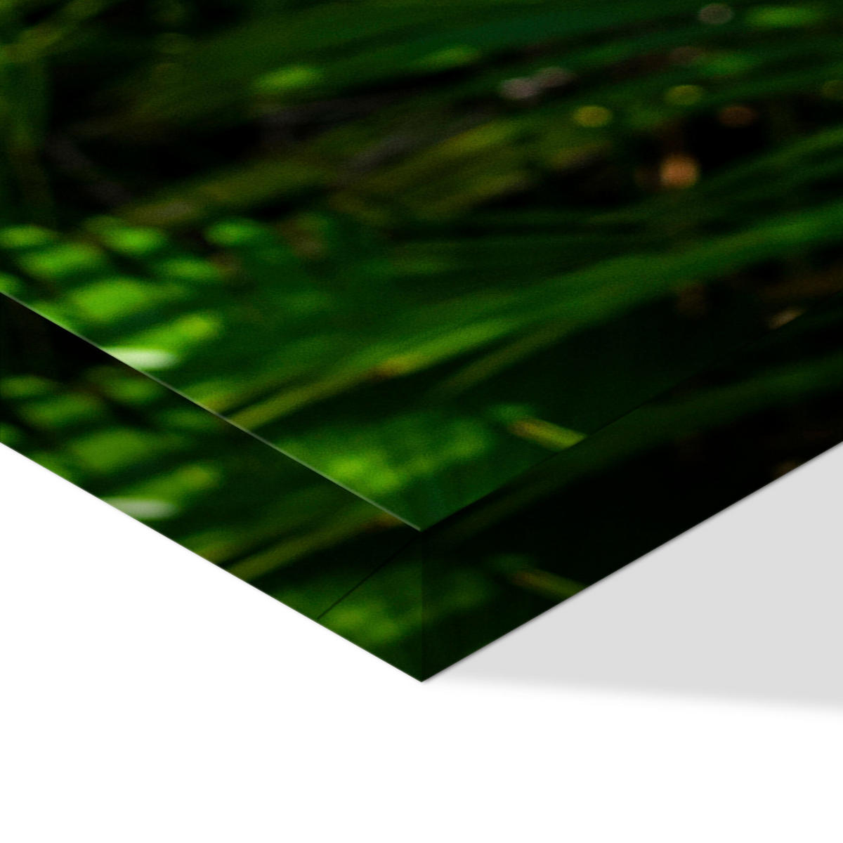 LEINWANDBILD Blätter 5-tlg. 200x100 cm - Multicolor, Holz (200/100cm) - LUMASOUL