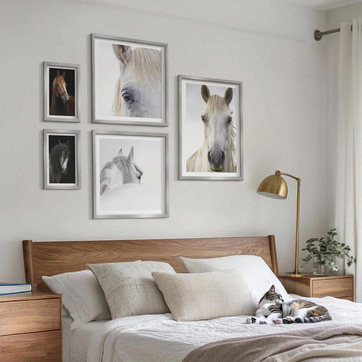 WANDBILDER 5er Set - 50x50 cm & 20x30 cm & 40x60 cm Silberner Rahmen - Pferdeporträts in Schattierungen - Silberfarben, Kunststoff (40/60cm) - ArtPrintCave