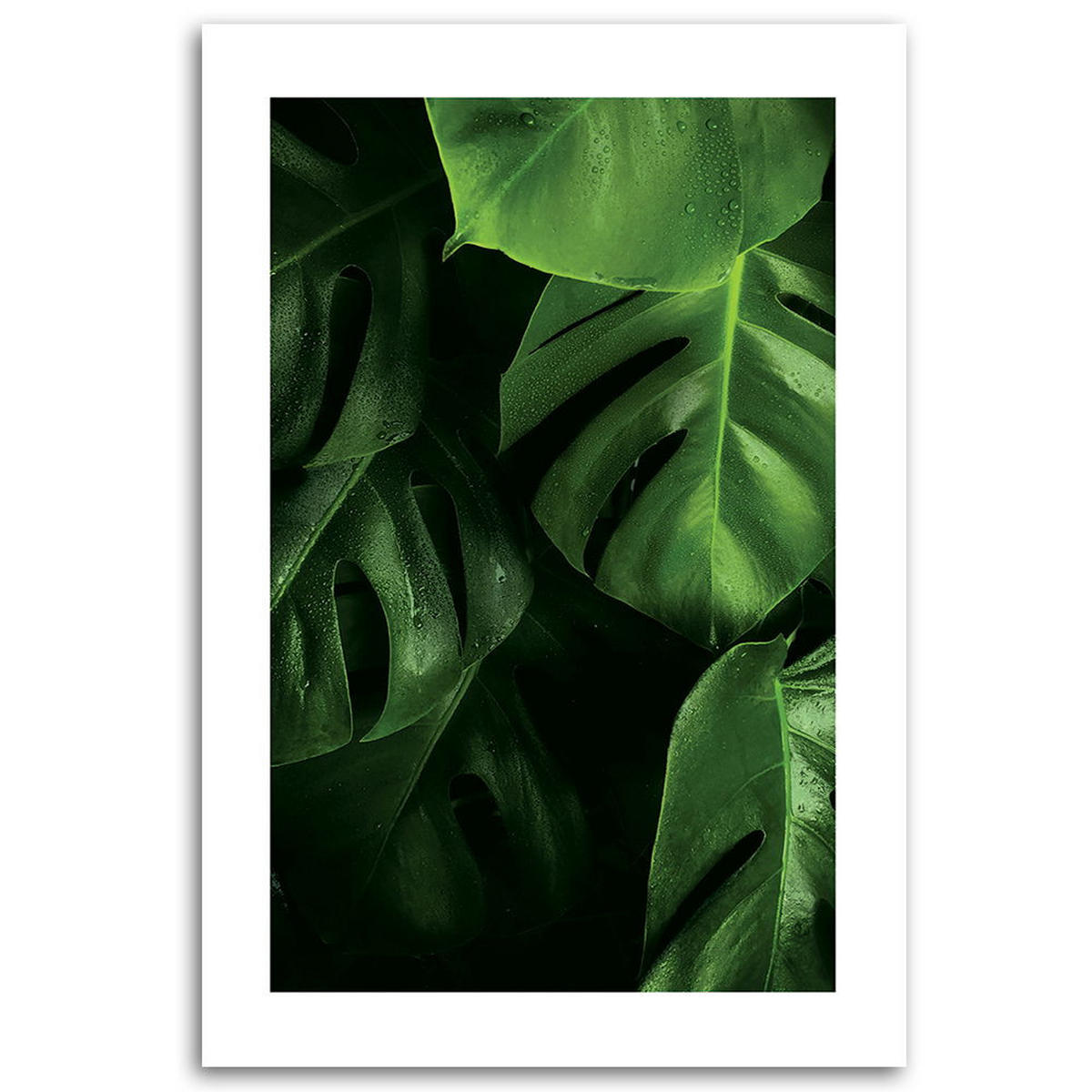 KUNSTDRUCK Grün 40/60 cm - Grün, Textil (40/60cm) - KUNSTLOFT