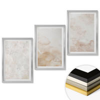 WANDBILDER 3er Set - 40x60 cm Silberner Rahmen - Modische Pastelltexturen - Silberfarben, Kunststoff (40/60cm) - ArtPrintCave