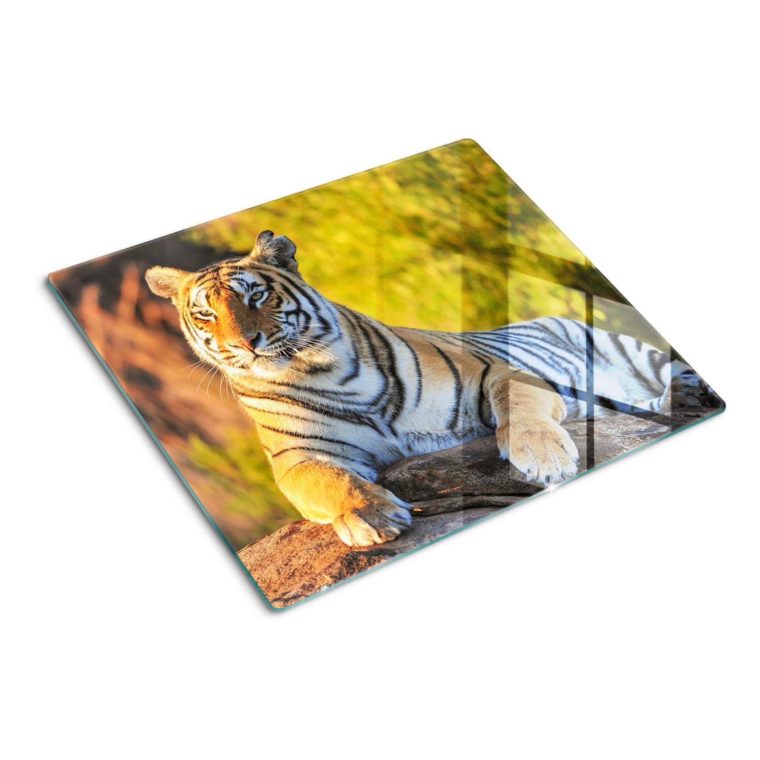 GLASPLATTE 60x52 cm Porträt des Tigers - Schwarz/Grau, Glas (60/0.4/52cm) - TULUP