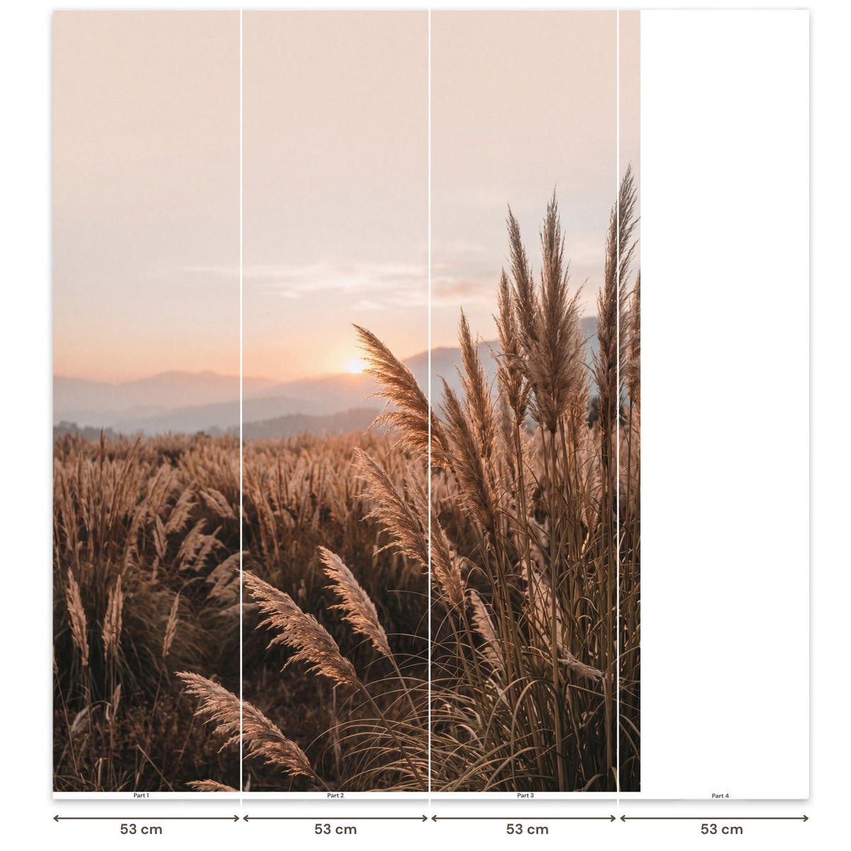 TAPETE - Gras - Feld - Sonne - Natur - 160x220 cm - Sandfarben, Papier (160/220cm) - OnlyWow