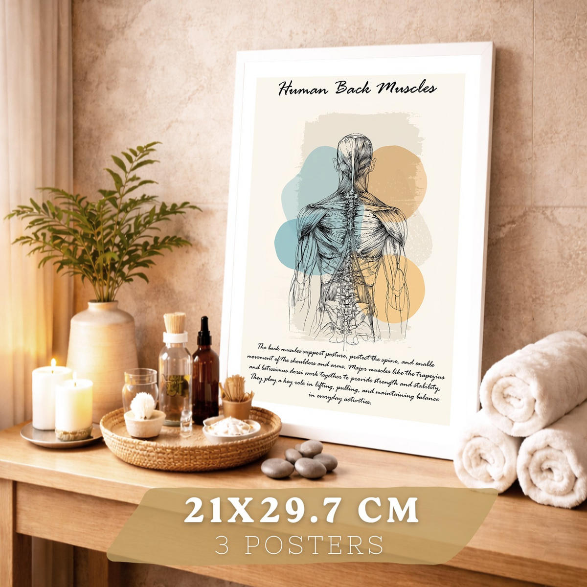 POSTER Set aus 3 Anatomie Mensch Lernposter Drucke und Wandbilder mit Muskeln Rücken Brustkorb Schädel Wanddekoration Größe Weißer Rahmen A4 - Weiß, Papier (21/29.7/3cm) - Nacnic