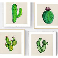 POSTER Set Mit 3 Kaktus 20X20cm Schwarzer Rahmen - Schwarz, Papier (20/5/20cm) - Nacnic