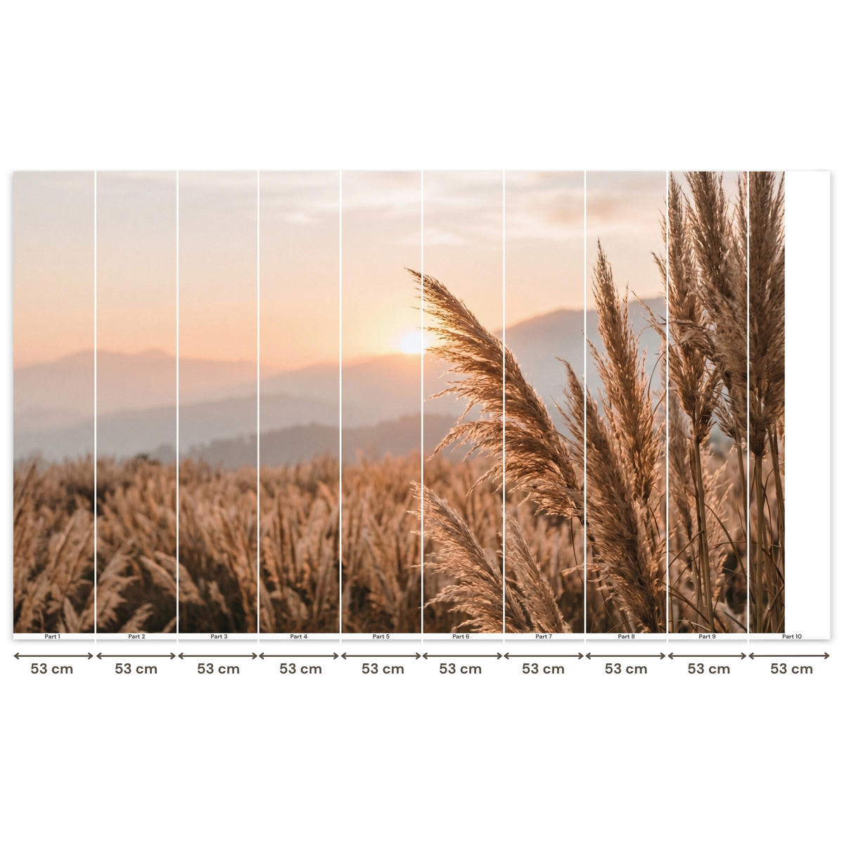 TAPETE - Gras - Feld - Sonne - Natur - 450x280 cm - Sandfarben, Papier (450/280cm) - OnlyWow