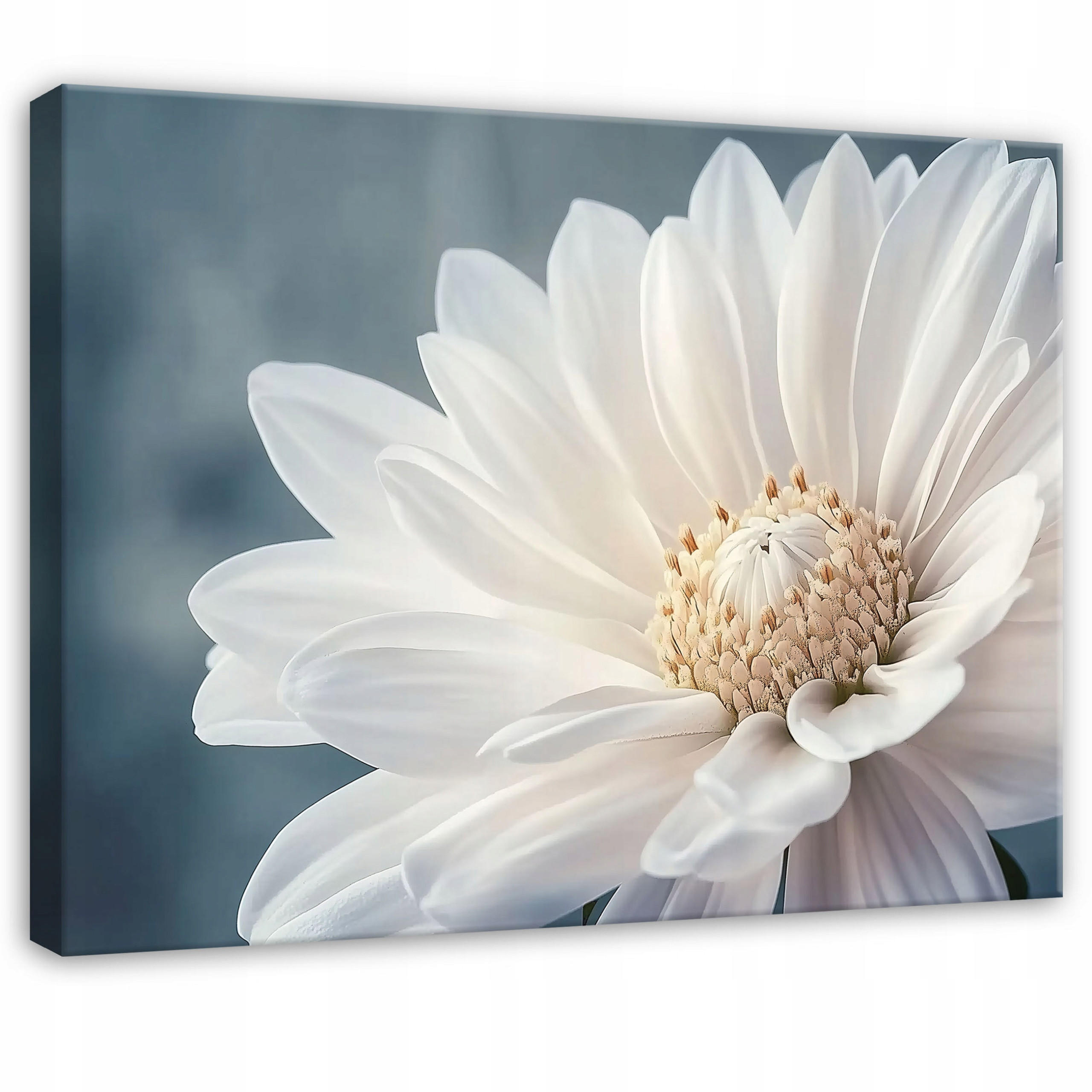 WANDBILD Blumen Abstrakt Wohnzimmer 100x70 - Multicolor, Holzwerkstoff (100/70cm) - Wallarena