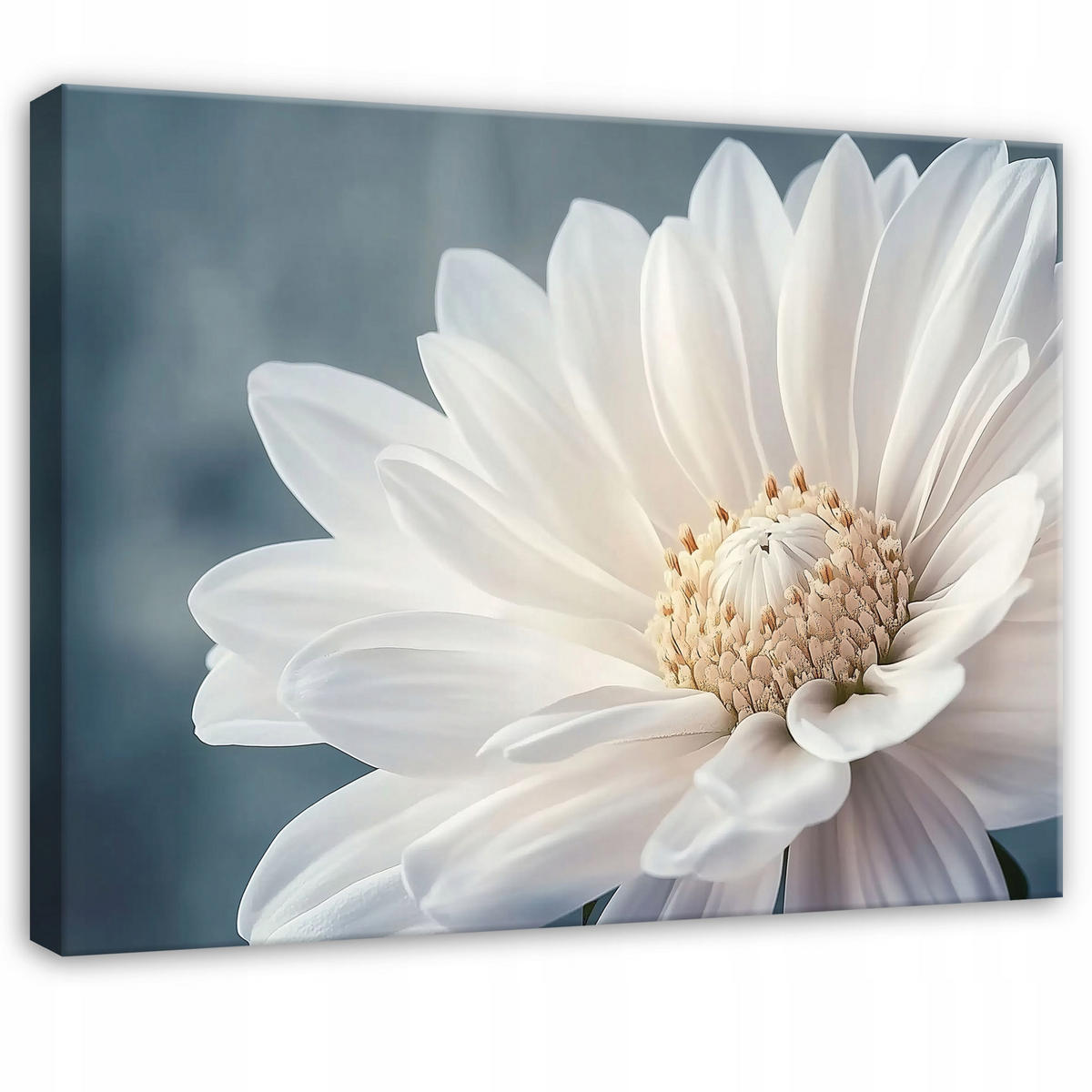 WANDBILD Blumen Abstrakt Wohnzimmer 60x40 - Multicolor, Holzwerkstoff (60/40cm) - Wallarena