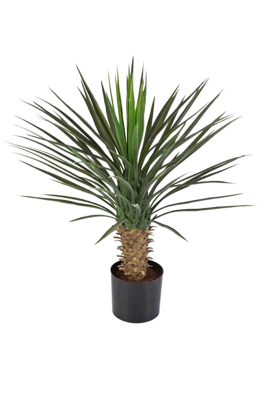 KUNSTBAUM Künstliche Yucca Rostrata Palme - Sven 82 cm - Grün, Kunststoff (82cm) - aplanta