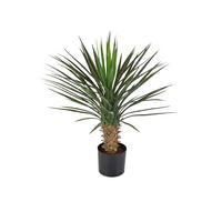 KUNSTBAUM Künstliche Yucca Rostrata Palme - Sven 82 cm - Grün, Kunststoff (82cm) - aplanta