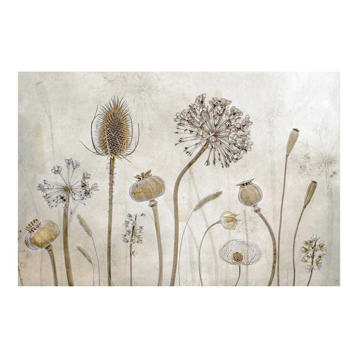 FOTOTAPETE Growing Old 288/190 cm - Eichefarben, Papier (288/190cm) - Bilderwelten