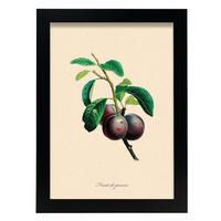 POSTER Pflaume A4 Schwarzer Rahmen - Schwarz, Papier (29.7/5/21cm) - Nacnic