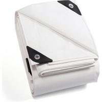 GEWEBEPLANE 3 x 6 m Weiß Wasserdicht 160g/m² - Weiß, Kunststoff (32/8/43cm)