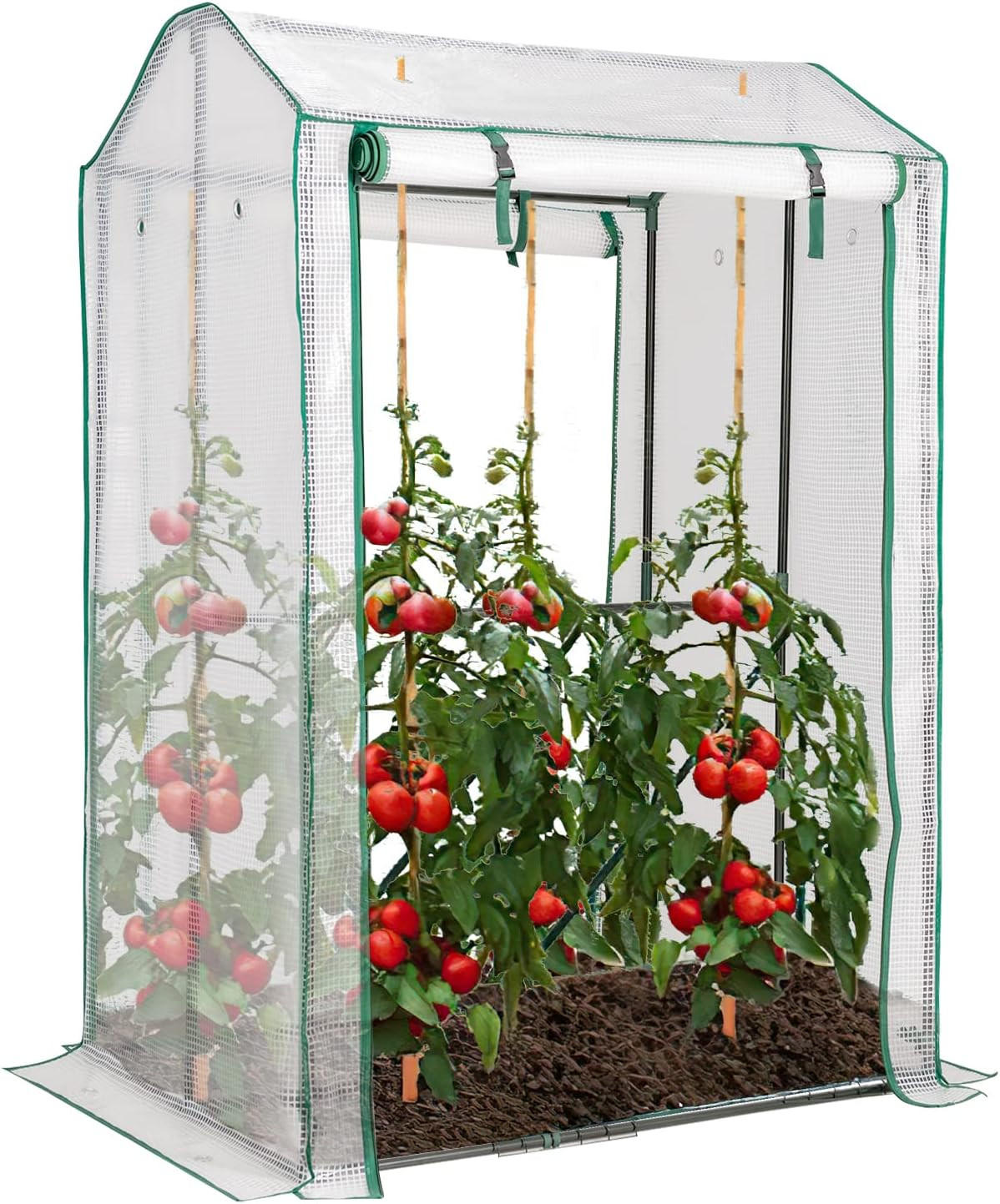 GEWÄCHSHAUS für Tomaten Transparent - Transparent, Metall (81/150/100cm) - COSTWAY