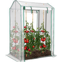 GEWÄCHSHAUS für Tomaten Transparent - Transparent, Metall (81/150/100cm) - COSTWAY