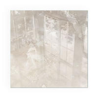 GLASPLATTE für Kamin 50x50 cm - Creme, Glas (50/50/0.4cm) - TULUP