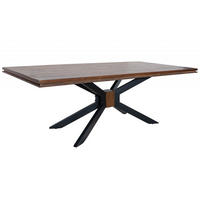ESSTISCH Mango 210x107x76 braun lackiert STILMÖBEL #121 - Braun, Holz (210/107/76cm) - Massivmoebel24