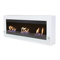 BIOETHANOL-KAMIN Weiß Wandmodell inklusive 3.6 L Brennblock - Weiß, Metall (136/54/21cm) - Purline