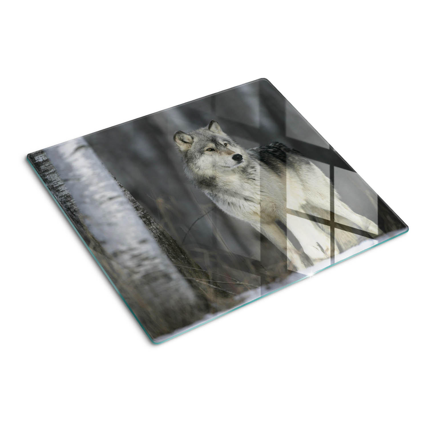 GLASPLATTE 60x52 cm Grauer Wolf - Grau, Glas (60/0.4/52cm) - TULUP